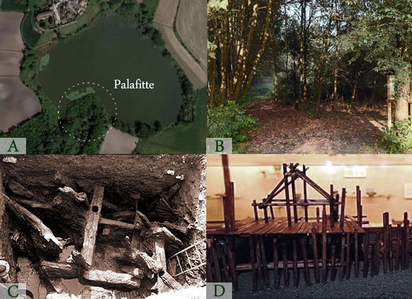 Mincio Park - A) pile dwelling village B) Admittance to the didactic-naturalistic route C) the archaeological excavations brought to light the traces of a pile dwelling village D) hypothetical reconstruction of a pile dwellings