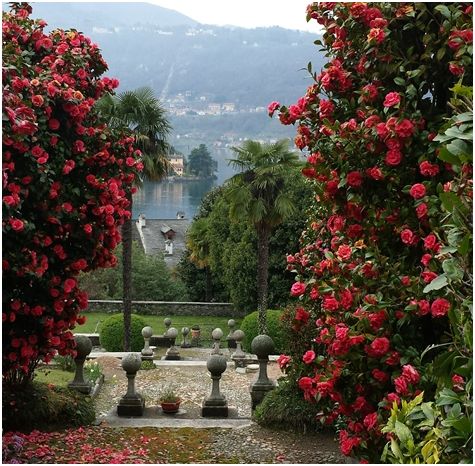 Orta San Giulio, Novara IT - Palazzo Gemelli ed il suo giardino all'italiana